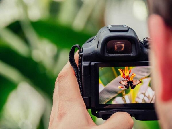 Tips Meningkatkan Kualitas Layanan Jasa Fotografi Pernikahan Modern